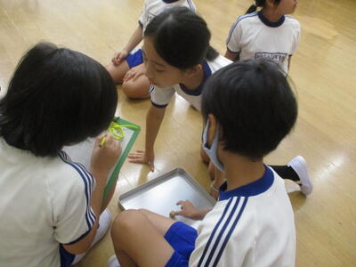 チャレンジランキング