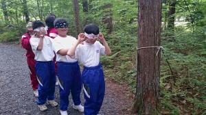 目隠しトレイン