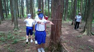 目隠しトレイル